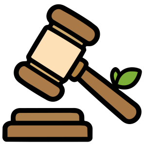 Auction