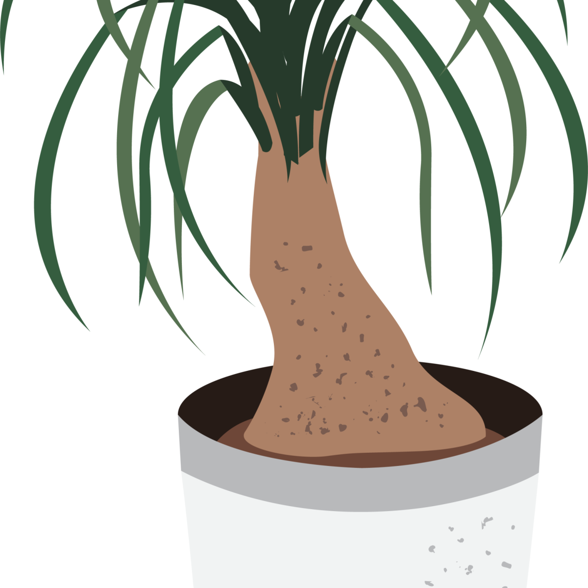 Plant Business01